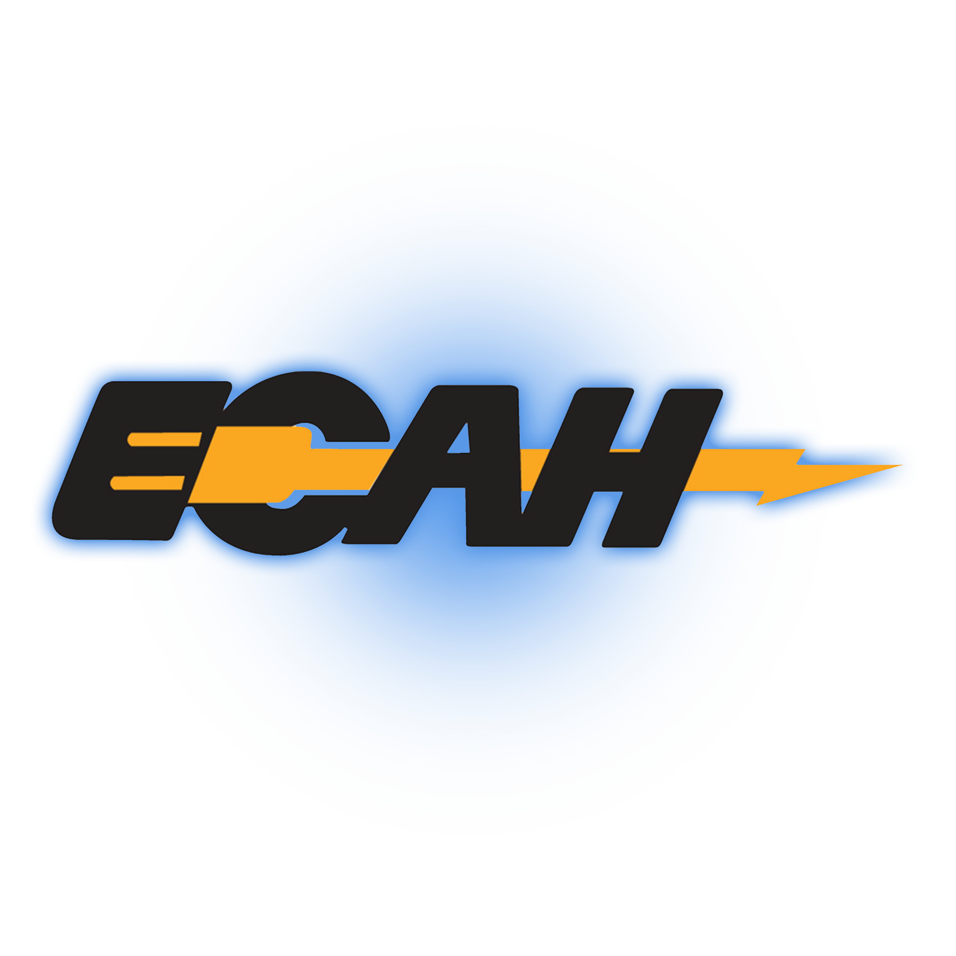 ECAH logo